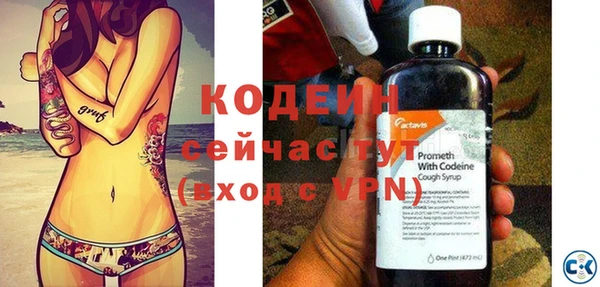 дурь Пестово