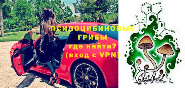 дурь Пестово