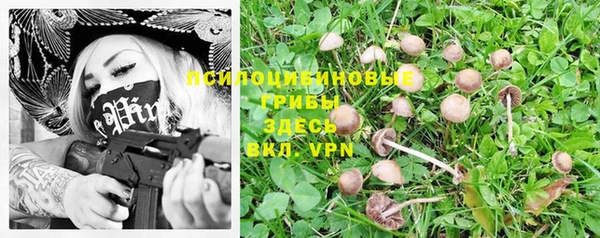 мескалин Переславль-Залесский